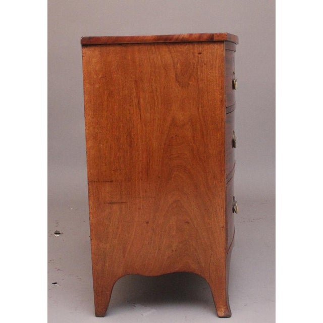 19th Century Mahogany Bowfront Chest of Drawers, 1820s For Sale - Image 4 of 9