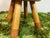 Bambi Chair by Takeshi Sawada for EO, Denmark, 2010s For Sale - Image 6 of 12