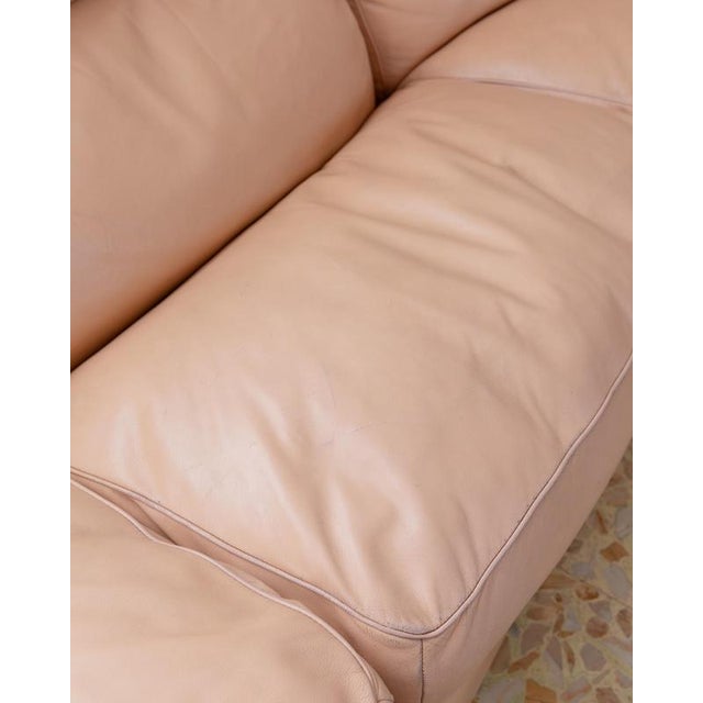 Vintage Petronio 4-6 Seater Sofa in Blush Leather by Tito Agnoli for Poltrona Frau, 1970s For Sale - Image 9 of 13