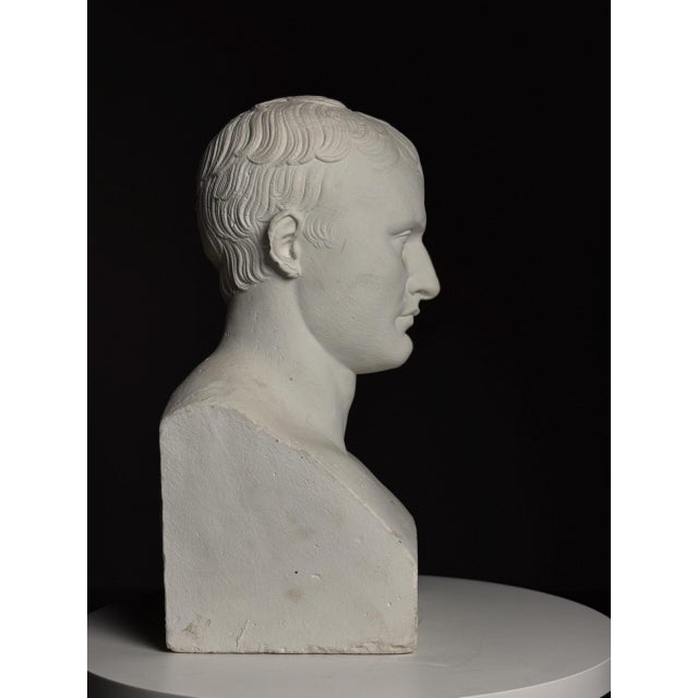 Bust of Napoleon, 20th Century, Plaster For Sale - Image 16 of 18