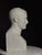 Bust of Napoleon, 20th Century, Plaster For Sale - Image 16 of 18