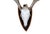 Bone Mounted Atypical 9 Point Deer Skull - Abnormal Antlers For Sale - Image 7 of 11