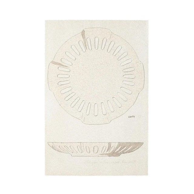 Plate'' is an original watercolor and china ink drawing on ivory-colored paper by realized in 1880ca. by Anonymous Artist...