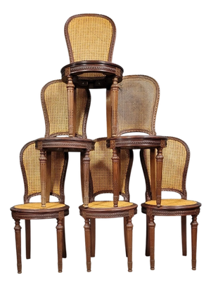 Louis XVI Style Mahogany Racket Chairs, Set of 6