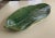 Traditional Early 21st Century Large Palm Leaf Catchall Dish For Sale - Image 3 of 8