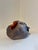 Geode with fungus and orange exterior Ceramic 5.5 x 6 x 7 I have a recurring fantasy that, while fossil hunting, I come...