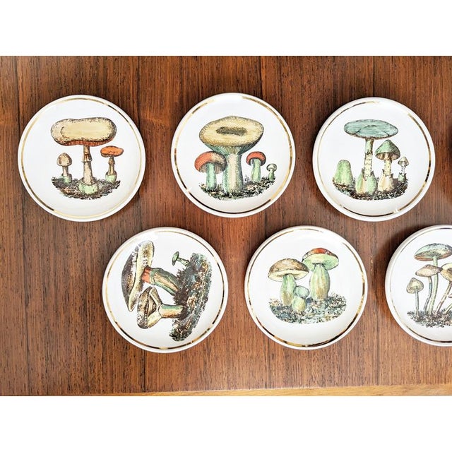 This Bucciarelli mushrooms set includes 7 coasters, . These are in pretty good condition considering their age, with...