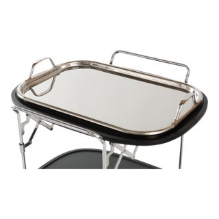 Enzo Mari Tray for Zani & Zani, 1980 For Sale