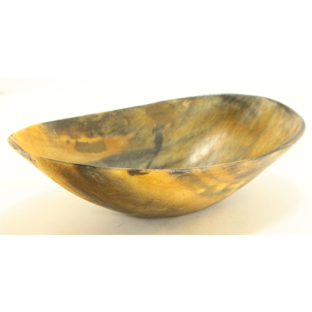 Beige 19th Century Large Oval Cattle Horn Bowl For Sale - Image 8 of 12