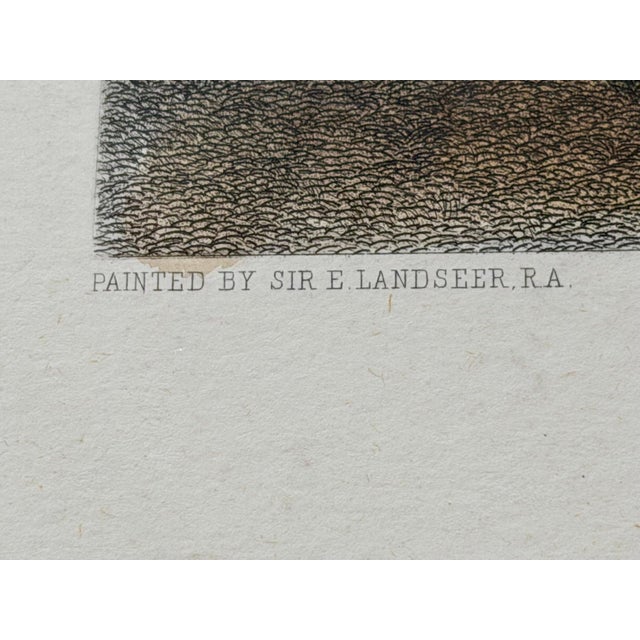 1880 Hand-Colored Engraving "Highland Dogs" After Sir Edwin Landseer in Custom Burlwood Frame For Sale In New York - Image 6 of 11