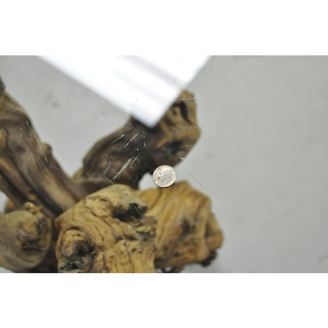 Vintage Mid Century Modern Natural Burl Driftwood Demilune Glass Console Table For Sale - Image 16 of 18