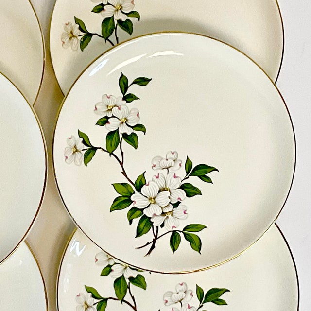 1950s Vintage Coastal Boho Chic Dogwood Luncheon or Salad Plates - Set of 6. For Sale - Image 6 of 10