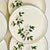 1950s Vintage Coastal Boho Chic Dogwood Luncheon or Salad Plates - Set of 6. For Sale - Image 6 of 10