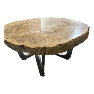 Petrified Wood Coffee Table For Sale