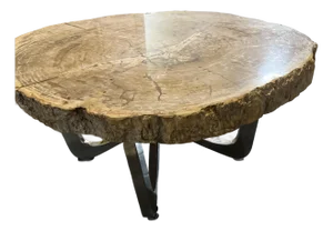 Petrified Wood Coffee Table