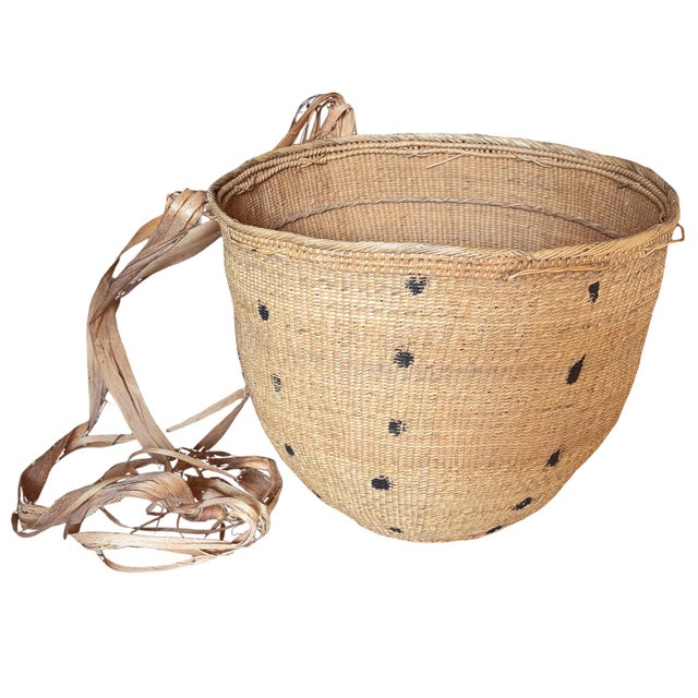 Tribal Yanomami Gathering Basket With Head Strap For Sale - Image 3 of 12
