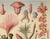 Fantasy Seascape / Seaside Fine Art Print by Diane Grant Studio For Sale - Image 6 of 8