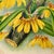 1890s Lindenia Orchid Chromolithograph, Gilt Frame For Sale In Mobile - Image 6 of 16