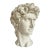 Vintage Faux-Stone Portrait Bust of Michelangelo's David For Sale