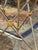 Gold Pair of Jansen Design Steel and Brass Side Tables For Sale - Image 8 of 8