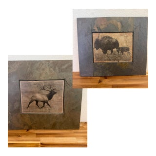 Shlomo Shuval Sierra Slate Images Bison & Elk Wildlife Wall Art – Pair For Sale