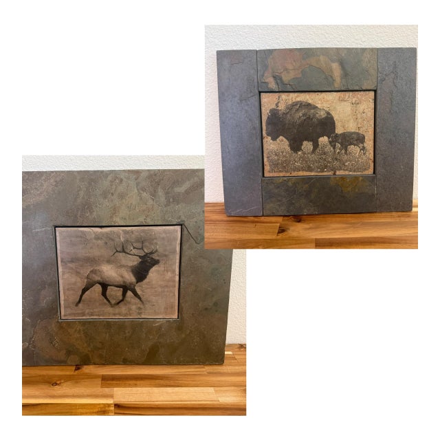 Shlomo Shuval Sierra Slate Images Bison & Elk Wildlife Wall Art – Pair For Sale