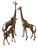 Hollywood Regency Vintage 1970s Hollywood Regency Solid Brass Giraffe Floor Statues - 3 Piece Family Set (Up to 54") For Sale - Image 4 of 4
