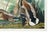 Mallard Duck, Vintage Art Print Reproduction From Birds of America by John James Audubon, 40" X 60" For Sale - Image 11 of 11