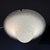 Design Plus Gallery presents a Murano Glass Mushroom Flush-mount by Angelo Vittorio Mazzega. A.V. Mazzega was known for...