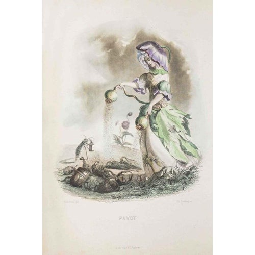 J. J. Grandville, Poppy, Animated Flowers Vol. I, 1847, Lithograph For Sale