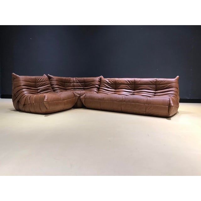 French Togo Living Room Set in Brown Leather by Michel Ducaroy for Ligne Roset, Set of 3 For Sale - Image 11 of 17