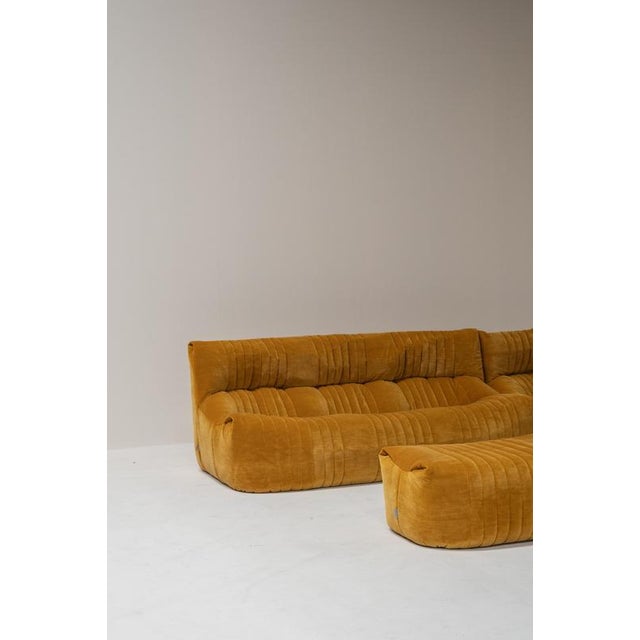 Ligne Roset Aralia Modular Sofa by Michel Ducaroy for Ligne Roset, France, 1970s, Set of 3 For Sale - Image 4 of 18