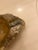 Mid Century Modern - Brutalist Italian Earth Tone Stone Ashtray / Trinket Holder For Sale - Image 12 of 12