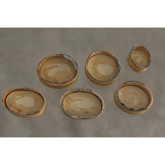 Antique Italian Grand Tour Plaster Intaglios - Set of 6 (Group #4) For Sale - Image 10 of 14