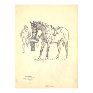 Original 1944 Pencil Drawing From Hi, Guy! The Cinderella Horse by Paul Brown 28