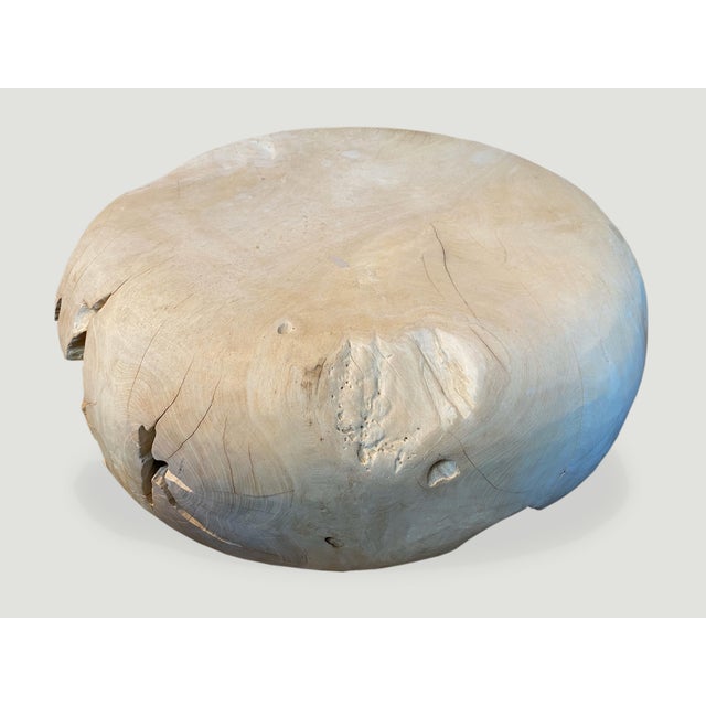 Contemporary Andrianna Shamaris St. Barts Teak Wood Drum Coffee Table For Sale - Image 3 of 18