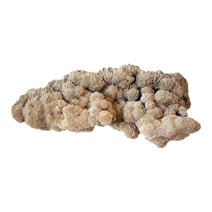 Late 20th Century Very Large Selenite Desert Rose Crystal Cluster Rock Formation