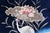 Ivory 1890s, Antique Chinese Peking Rug, Cranes & Floral, 3 X 5 For Sale - Image 8 of 13