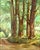 "Back Road" California Redwoods Santa Cruz County Original Oil Painting by Gorman Woody For Sale - Image 4 of 8