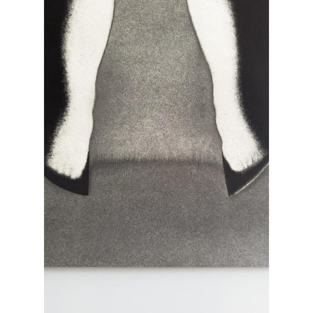 The Painted Bird Original Polish Poster by Wiesław Rosocha, 1991 For Sale - Image 4 of 9