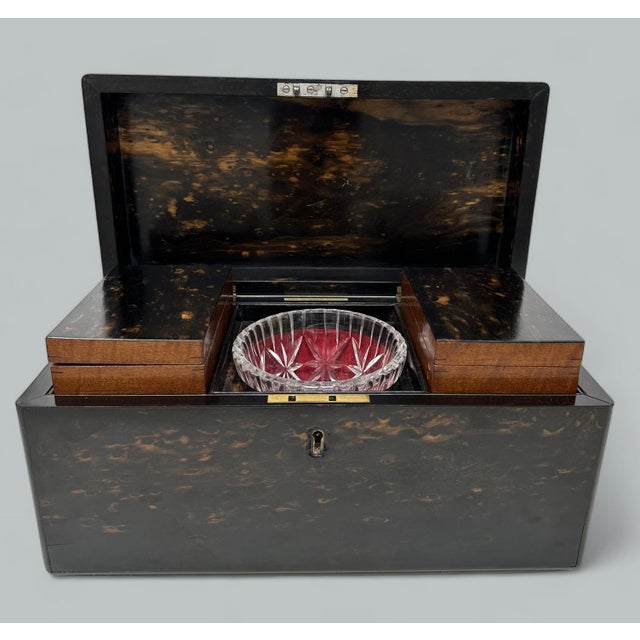 Black Antique English Coromandel Wooden Double Tea Caddy by Thomas Lund 19th Century For Sale - Image 8 of 9