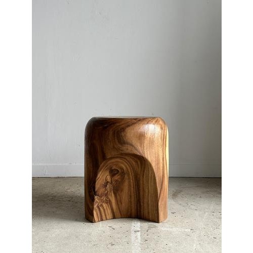 Wood End of Sofa Stool or Side Table in Solid Monoxyl Suar Wood For Sale - Image 7 of 18