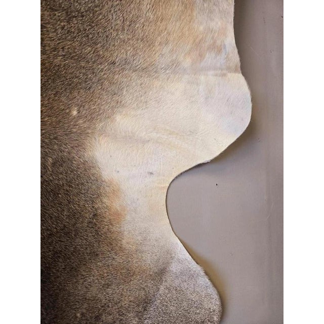 2000 - 2009 Large Beige and Brown Cowhide Rug For Sale - Image 5 of 18