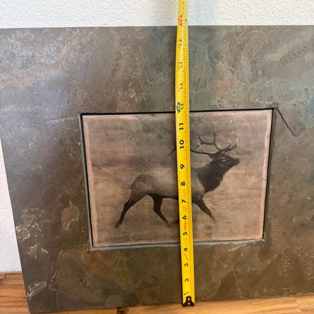 Shlomo Shuval Sierra Slate Images Bison & Elk Wildlife Wall Art – Pair For Sale - Image 11 of 11