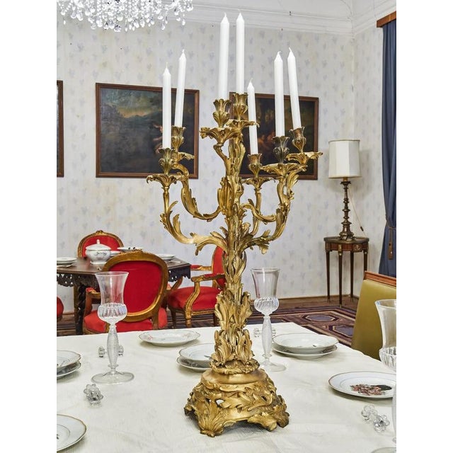 Goldenrod Rococo Brass Candlestick For Sale - Image 8 of 9