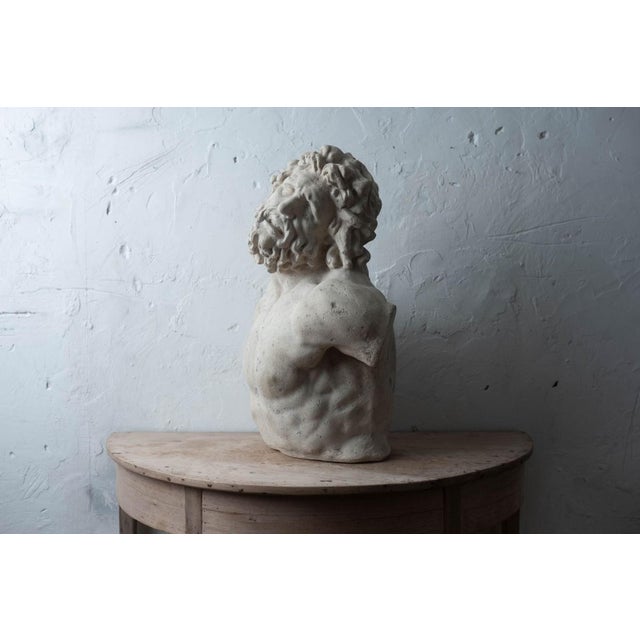 Stone Bust of Laocoön, After the Antique, 20th Century For Sale - Image 7 of 12