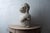 Stone Bust of Laocoön, After the Antique, 20th Century For Sale - Image 7 of 12