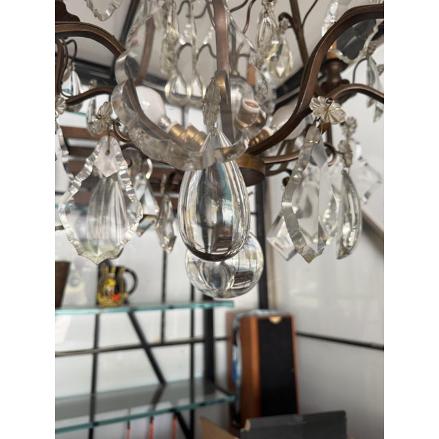 Louis XV Crystal 12-Light Cage Chandelier from Maison Baguès For Sale - Image 13 of 14