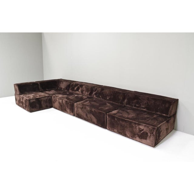 Trio Sectional Sofa in Chocolate Brown Velvet with New Upholstery from Cor, 1972, Set of 10 For Sale - Image 4 of 18