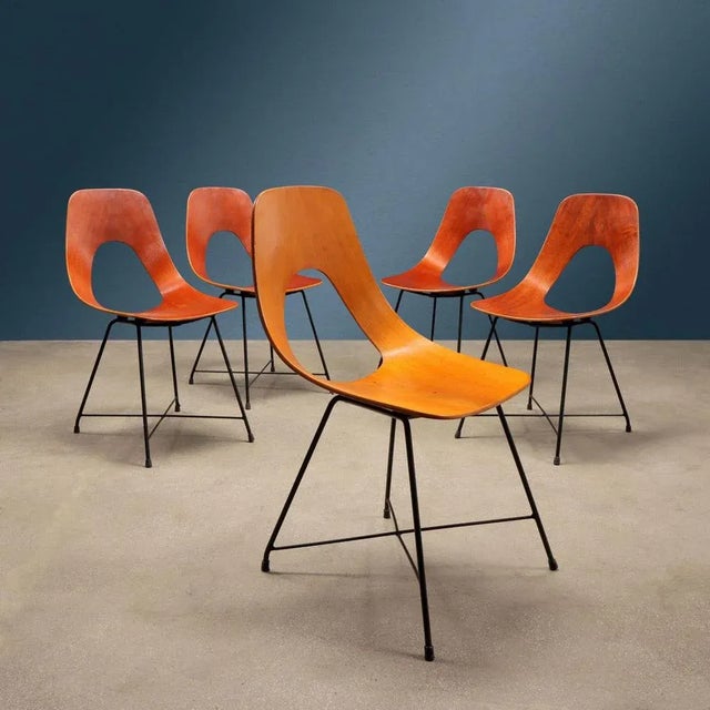 Wood Italian Ariston Chairs in Plywood attributed to A. Bozzi for Saporiti, 1950s For Sale - Image 7 of 7